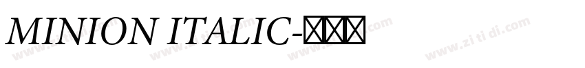 MINION ITALIC字体转换 MINION ITALIC字体转换
